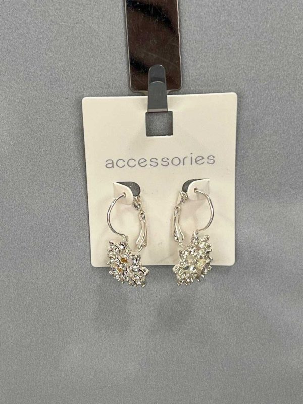 گوشواره نگیندار درخشان Accessories